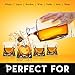 Whiskey Decanter Set for Men with 4 Glasses and 9 Cooling Whisky Stones, Bourbon, Rum, Scotch, Crystal Clear Decanter Sets - Whiskey Gifts for Men Dad Him