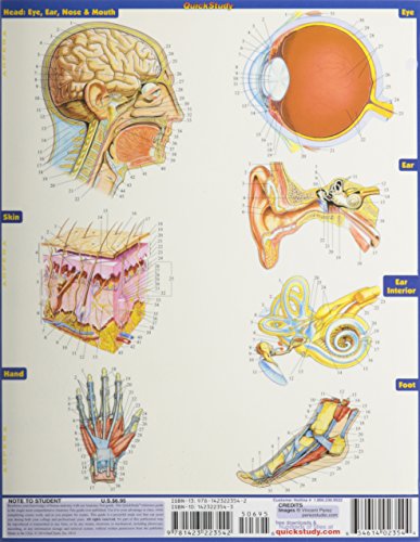 Anatomy Test - //medicalbooks.filipinodoctors.org