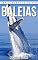 Livro Baleias: Fotos Incríveis e Factos Divertidos sobre Baleias para Crianças (Série Lembra-te de Mim)
