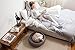 Keter by Curver Knit Cozy Resin Plastic Pet Bed, Cat Bed & Dog Bed with Cushion, Small Dogs to Medium Cats, Sandy Beige