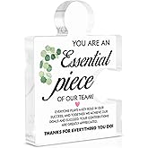Team Appreciation Gifts for Employees Coworkers, Thank You Gifts for Teammate Leader Mentor Manager, You Are an Essential Piece of Our Team, Acrylic Puzzle Plaque Office Decor
