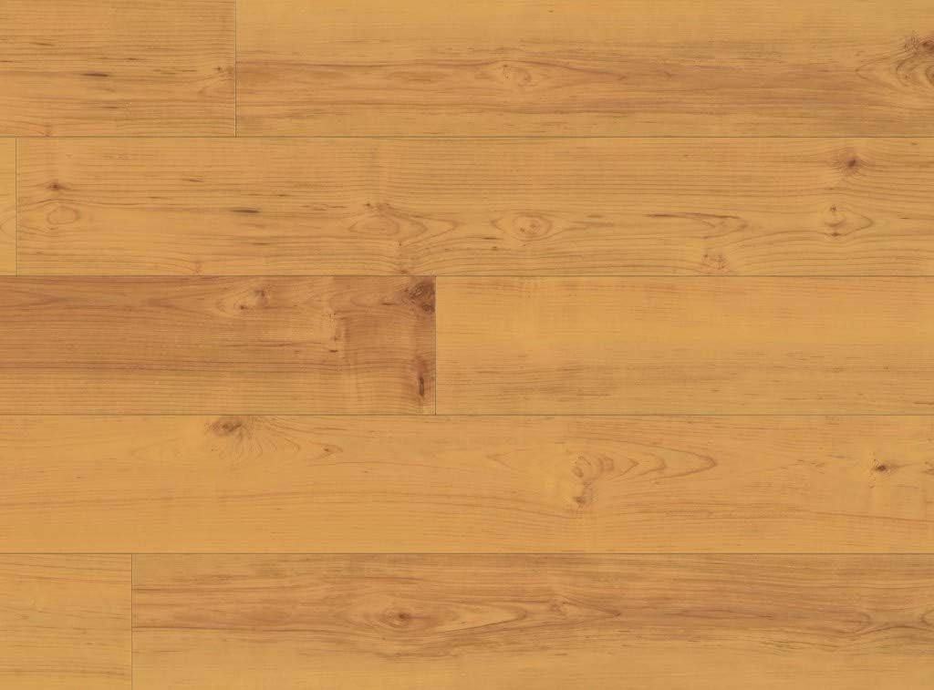 COREtec Plus Norwegian Maple Engineered Vinyl Plank 8mm x 5" 50LVP505 Sample