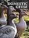 Domestic Geese by Chris Ashton