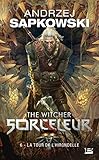 Sorceleur, Tome 6 : La tour de l'hirondelle by