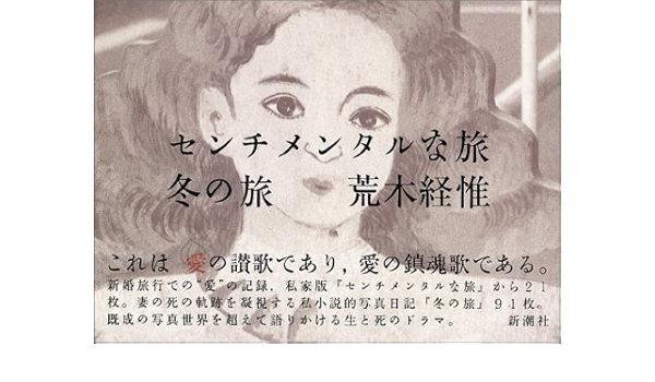 Diary Sentimental Journey Japanese Edition By Nobuyoshi Araki 1991 09 02 Nobuyoshi Araki Amazon Com Books