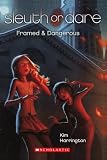 Framed & Dangerous (Sleuth or Dare)