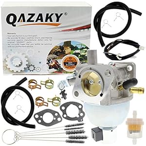 QAZAKY Carburateur Kit Compatibel met 808725 846280 846944 847395 305772-0004-G1 305777-0033-G1 305777-0150-B1 305777…