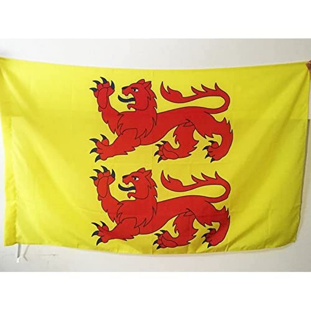 AZ FLAG - Hautes-Pyrénées Flag - 3x5 Ft - French department Banner with Sleeve - 100% Polyester - Fade Resistant - Vivid Colors - 3' x 5' Feet - 150x90 Cm