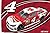 Kevin Harvick #4 3x5 CAR Flag w/grommets RR Outdoor Banner Nascar Racing