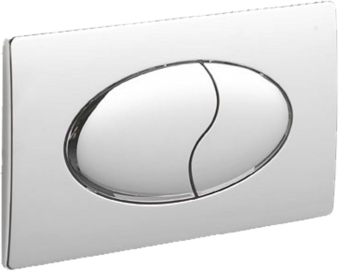 cistern flush plate
