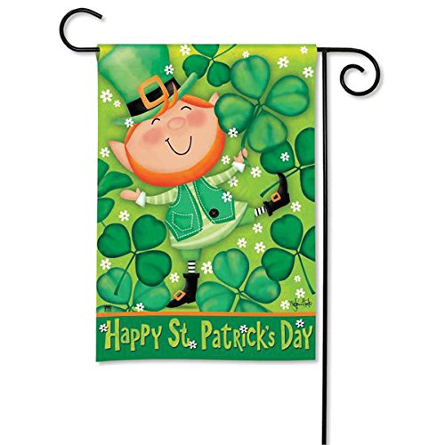 Magnet Works MAIL31080 Leprechaun Garden Flag