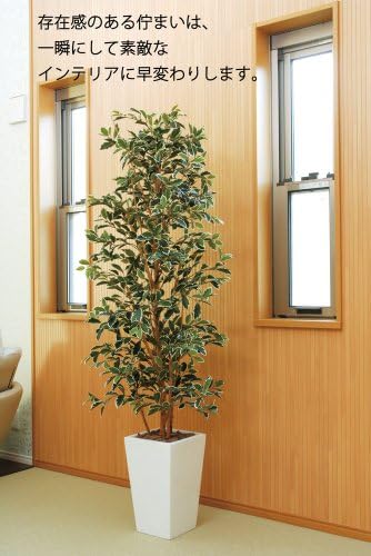 光触媒観葉植物 ガジュマルタワーｇ 本店 ｗ 1 8 フロアタイプ ハイサイズ 光触媒 胡蝶蘭 消臭 スプレー 花 インテリアグリーン 大型