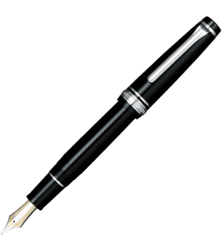 Amazon.com: Sailor Profit Standard 21 Fountain Pen Zoom Nib Black