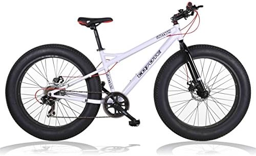 coyote fatman fat bike