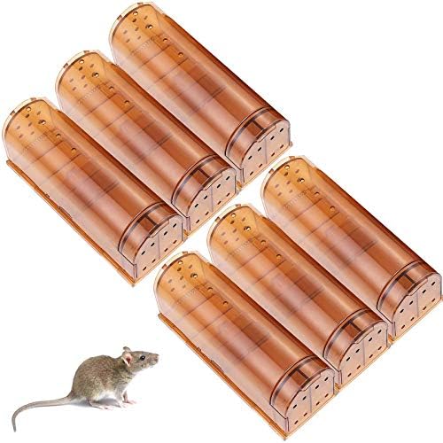 Humane Mouse Trap Catch and Release, No Kill Mouse Traps, 6 Pack Live
