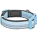 Blueberry Pet Soft & Safe 3M Reflective Neoprene Padded Adjustable Dog Collar - Baby Blue Pastel Color, Small, Neck 12