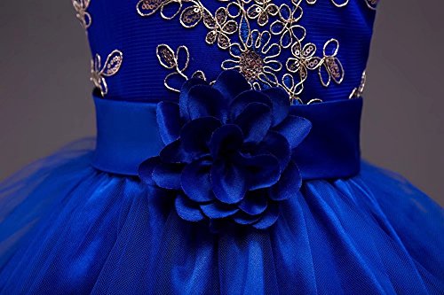 ZaH Girl Dress Kids Ruffles Lace Party Wedding Dresses(Blue,3-4Y)