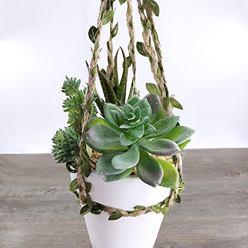 Supla 5 Pcs Assorted Artificial Succulents Plants Unpotted Small Green