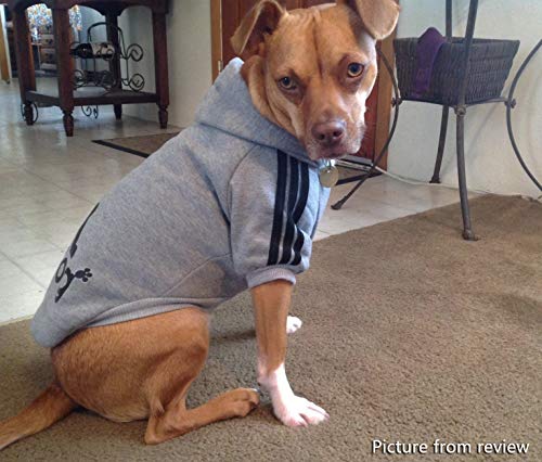 adidog clothes