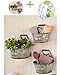Gift Included- Set of 3 Rustic Country Living Wall Buckets Home Decor Accents + FREE Bonus 23 oz Water Bottle byHomecricket