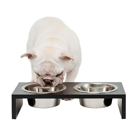 Dogs Pawise Elevated Pet Feeder Double Feeder Raised Dog Feeder