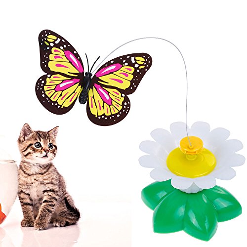flying butterfly cat toy