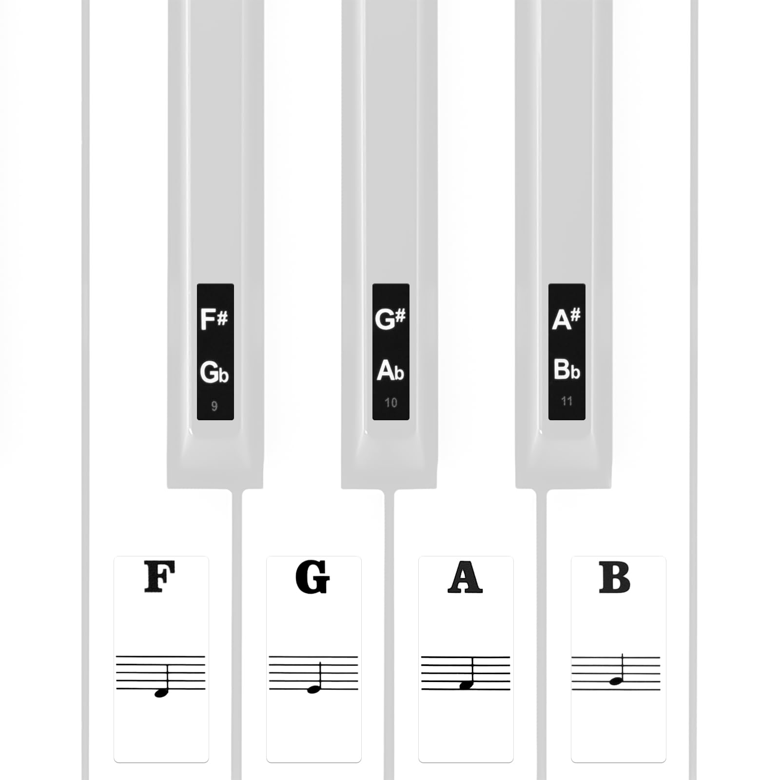 Linkidea Piano Keyboard Note Stickers (Black & Transparent Background) for 88/61/54 Key Acoustic & Digital Piano And Keyboards