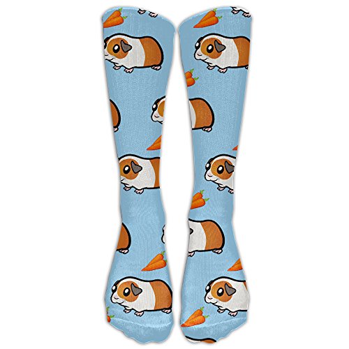 Guinea Pig Socks Kritters in the Mailbox Guinea Pig Sock