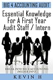 Essential Knowledge for a First Year Audit Staff/Intern at a Big 4 Accounting Firm (Big 4 Accounting Insight Book 1)