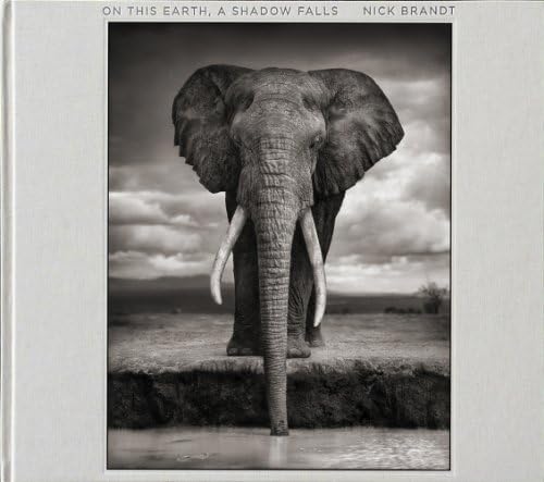Nick Brandt A Shadow Falls ニック・ブラント　難あり Amazon.com: A Shadow Falls: 9780810954151: Nick Brandt: Books