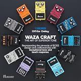 BOSS DM-2W Delay Pedal Waza Craft Analog Reproduction 5-Year Warranty view 4