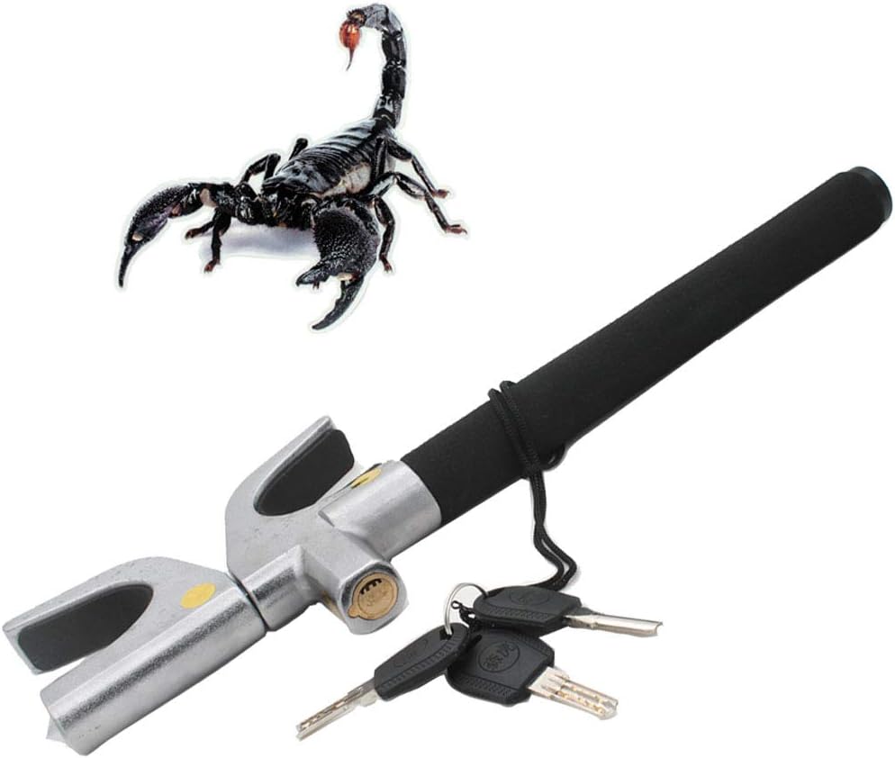 dispositivi di bloccaggio del volante