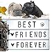 BUYLET Light Up Letters Box Cinema LED Cinematic lightbox - 255 Color & Black Letters Words Emojis DIY Message Vintage Board Changeable Home Decor Sign A4