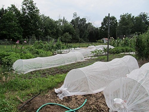 1 Agribon+AG+19+Floating+Blanket+Garden