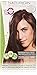 L'Oreal Paris Hair Care Advanced Family Size Smooth Intense Ultimate Straig