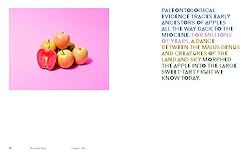 William Mullan: Odd Apples