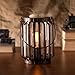 Edison Scout Electric Scented Candle Wax Warmer - One of Our Rustic Candles Holders to Bring Rich Fragrance to Your Home - One of Best Office Decor Products to be Desk or Table LampCLEARANCE ITEM