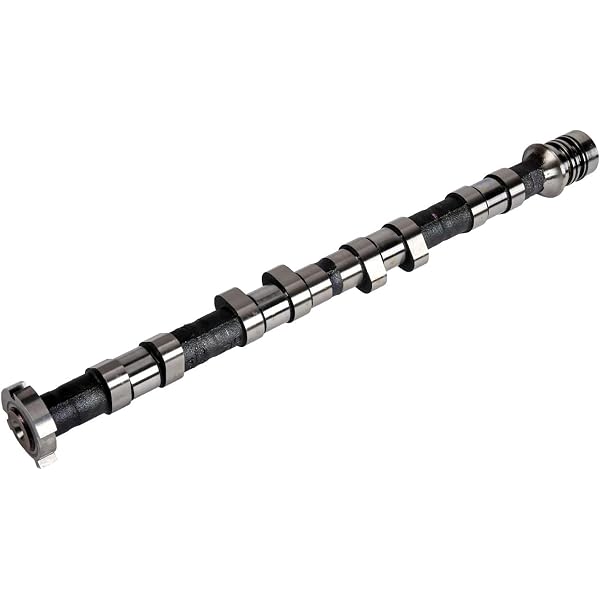 Amazon.com: ACDelco GM Original Equipment 10166364 Valve Lifter 