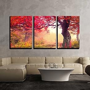 3 Piece Canvas Wall Art - Majestic Landscape with Autumn Trees in Forest. Carpathian, Ukraine, Europe - Modern Home Art Stretched and Framed Ready to Hang - 16"x24"x3 Panels