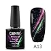 Ikevan CANNI Removable UV Gel Nails Protective Layer Removable Release Layer Chameleon 3D Cat Eye Sealant (A13)