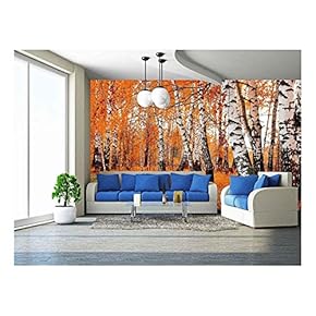 Orange Birch Grove