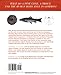 Geometry of Design: Studies in Proportion and Composition