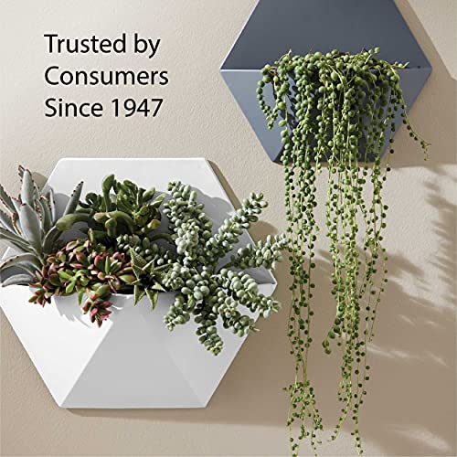 Krylon K05590007 COLORmaxx Spray Paint and Primer for Indoor/Outdoor Use, Metallic Silver 11