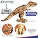 Discovery Kids Remote Control RC T Rex Dinosaur Electronic Toy Action Figure Moving & Walking Robot w/Roaring Sounds & Chomping Mouth, Realistic Plastic Model, Boys & Girls 6 Years Old+