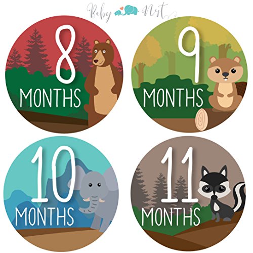 Monthly Milestone Stickers by Baby Nest - Colorful Woodland Animals for Newborns & Up, Celebrate 0-12 Months First Year Achievements | Perfect Shower Gift (16 Pack)