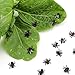 X Hot Popcorn 100 Pcs Fake Flies Plastic Simulated Fly Joke Toys Prank Flies Toys for Joke Halloween Party Favors