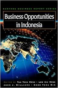 Business Opportunities In Indonesia Tan Teck Meng Low