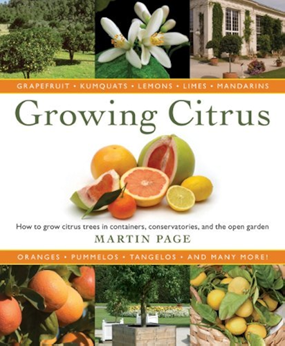 Download Growing Citrus: The Essential Gardener's Guide (English Edition) PDF