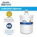 Golden Icepure LT500P Refrigerator Water Filter Replacement for LG LT500P, 5231JA2002A, ADQ72910907, ADQ72910901, Kenmore 469890 (2-Pack)