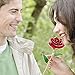 PREUP Love Forever Beautiful Long Stem Gold Foil Trim Red Rose Flower Best Gift (Red)